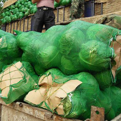 产品名称：蔬菜网袋
产品型号：蔬菜网袋
产品规格：蔬菜网袋