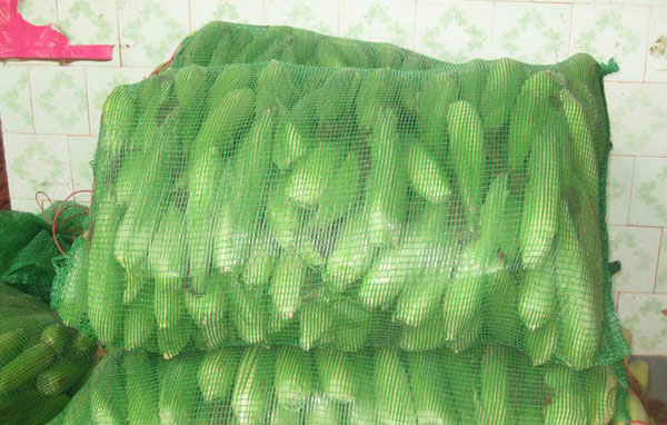 产品名称：玉米网袋
产品型号：玉米网袋
产品规格：玉米网袋